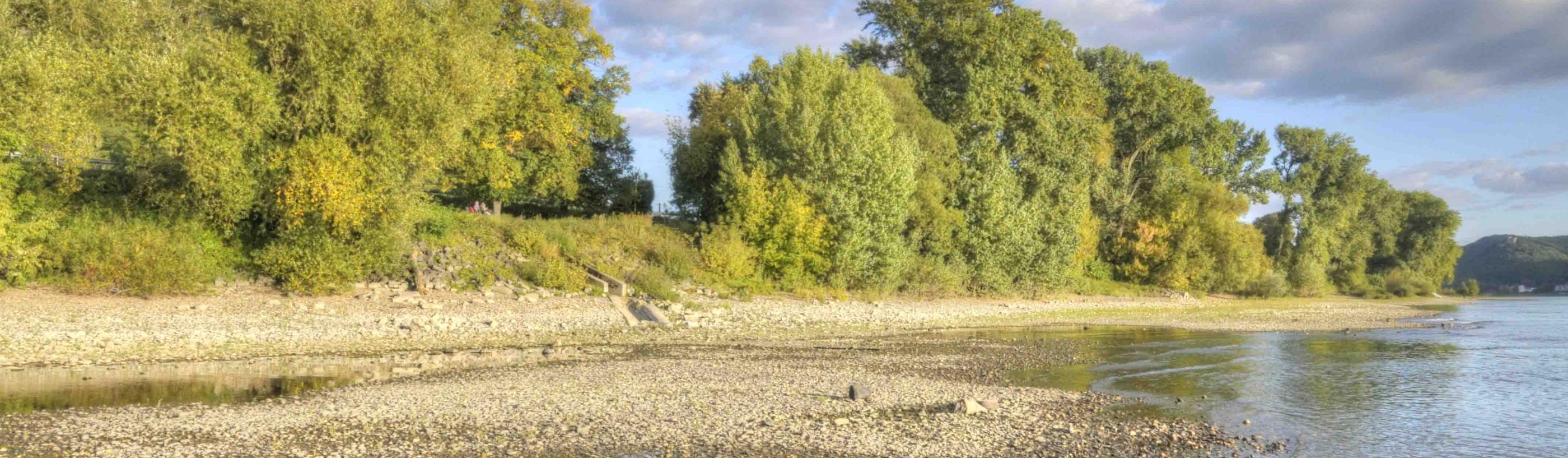 Pfarreiengemeinschaft Bad Hönningen-Rheinbrohl