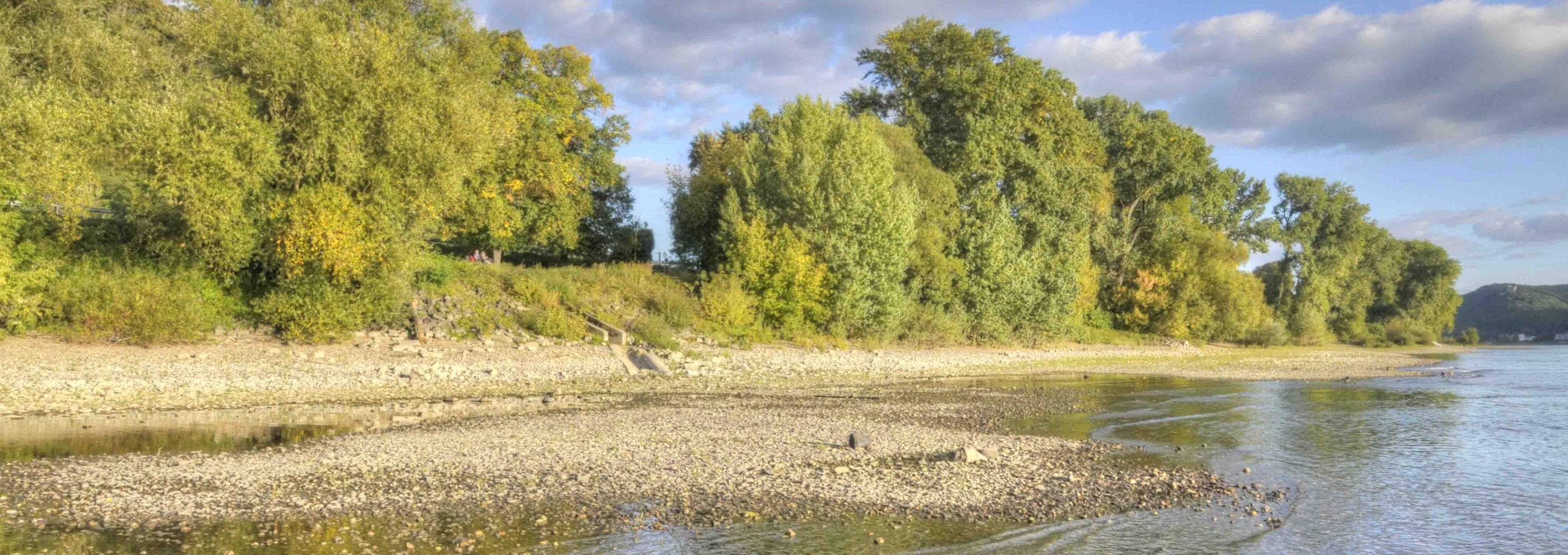 Pfarreiengemeinschaft Bad Hönningen-Rheinbrohl